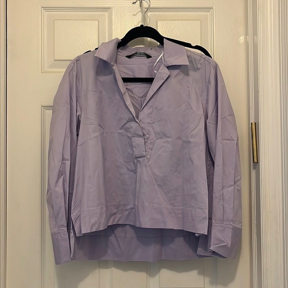 Purple Zara crop top